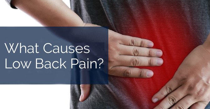 What Causes Low Back Pain? image