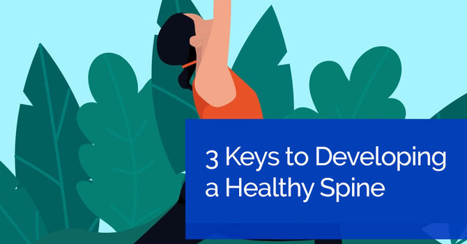 3 Keys to Developing a Healthy Spine image