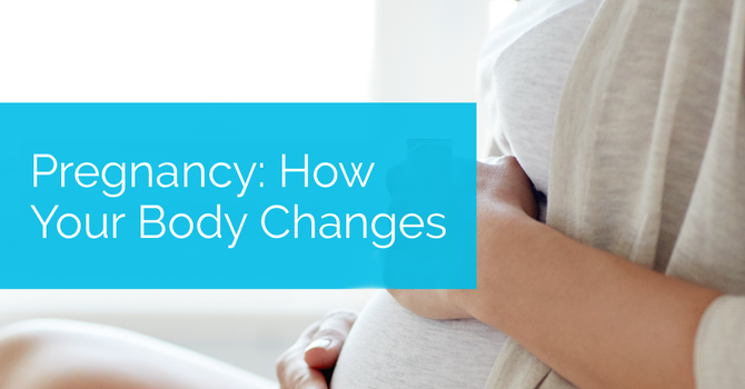 Pregnancy: How Your Body Changes image