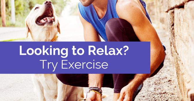 Looking to Relax? Try Exercise. image