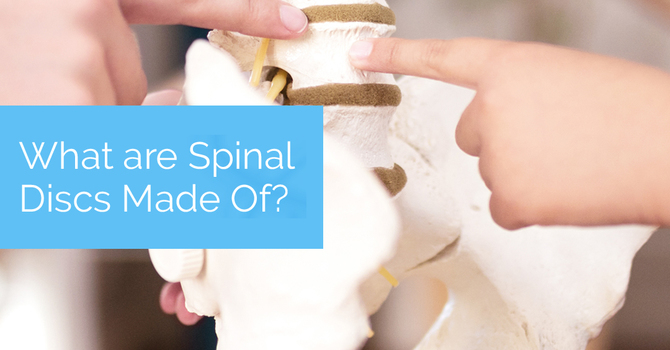 What are Spinal Discs Made of? image